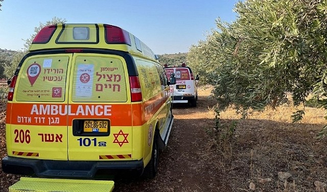 مقتل شخصين بجريمة إطلاق نار في أبو سنان