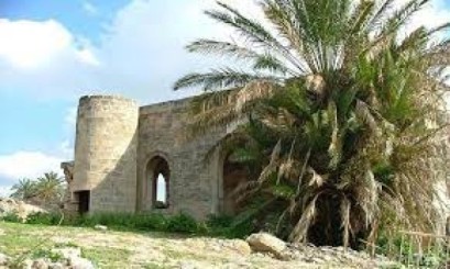 في ذكرى النكبة: أهالي البصة يعودون إلى بلدتهم المهجّرة رغم المنع والقيود