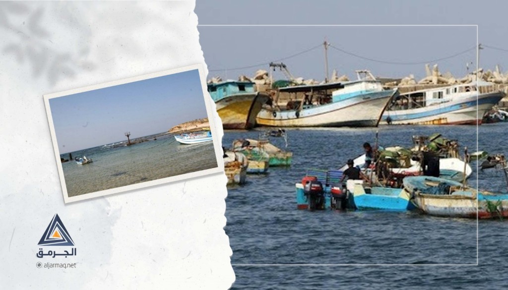 منظمة الصيد تُطالب بتعويض الصيادين عن فترة حظر الصيد بآلية جديدة تتناسب مع حجم الضرر