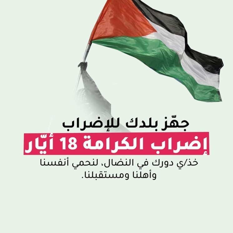 كيف سيؤثر فلسطينيو ٤٨ على "إسرائيل" عند الالتزام بالإضراب الشامل غدًا؟