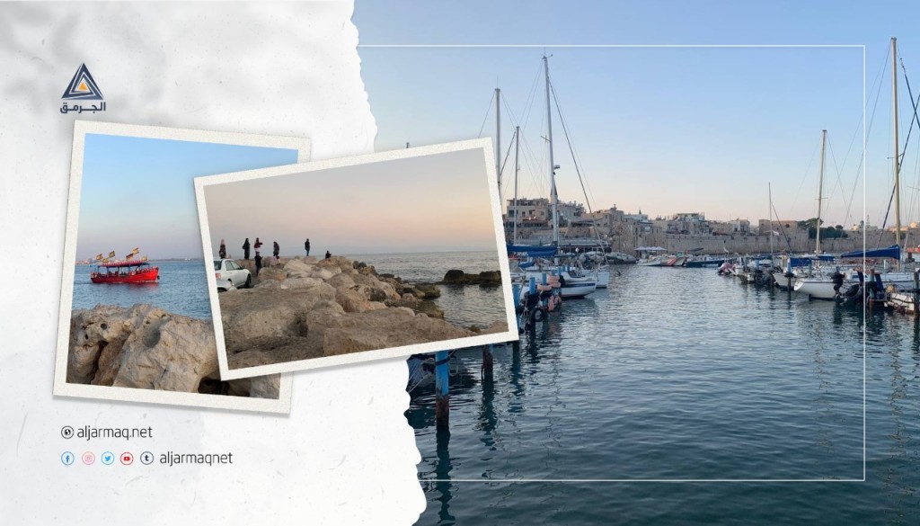 بلاميدا وبوري وسرغوس وغيرها ..أسماكٌ تزيّن بحر عكا