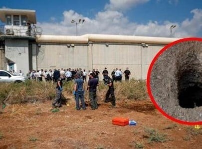 أن تقرأ "الفُجاءة" كعادة والعكس… ملاحظة عن عبقريّة الهُروب