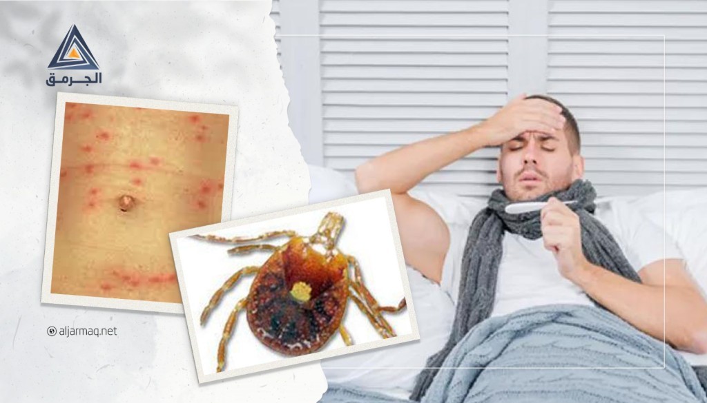 بلدية أم الفحم تحذر من دخول الكهوف لهذا السبب