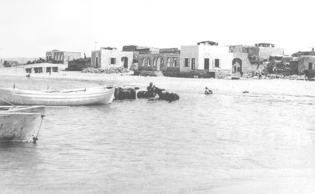 بعد محاولات إخفائها..إعادة شهادات عن مجزرة الطنطورة للواجهة عبر فيلم وثائقي