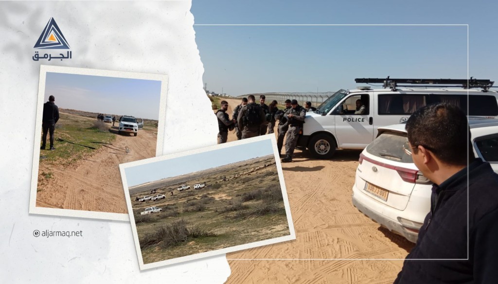 بالفيديو.. القوات الإسرائيلية تصادر مئات المواشي في منطقة الخبو بالنقب الغربي