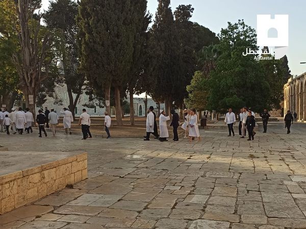 مستوطنون يقتحمون باحات المسجد الأقصى بمناسبة ما يسمى "عيد الغفران"
