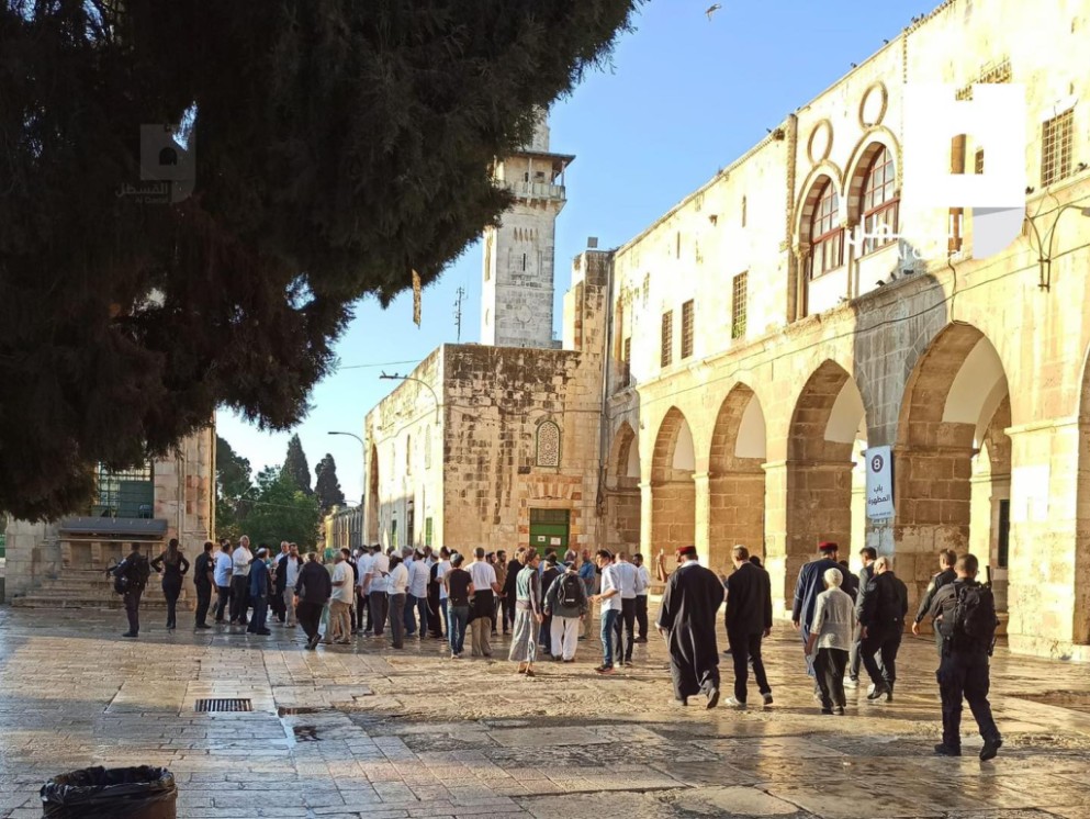 مستوطنون يقتحمون المسجد الأقصى المبارك بحماية مشددة من قوات الاحتلال