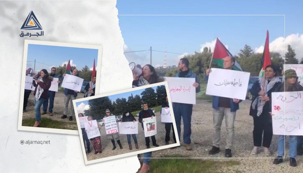 بالفيديو.. العشرات يحتفلون بالأسيرات الأمهات أمام سجن الدامون