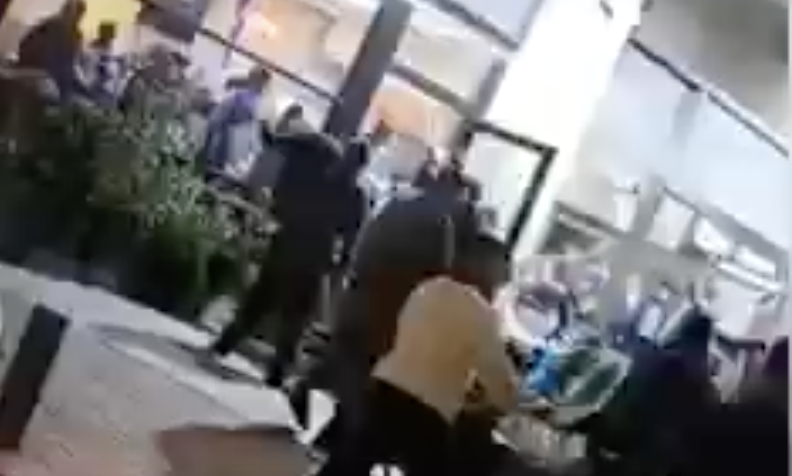 بالفيديو.. مستوطنون يعتدون على عمال بمطعم في الخضيرة