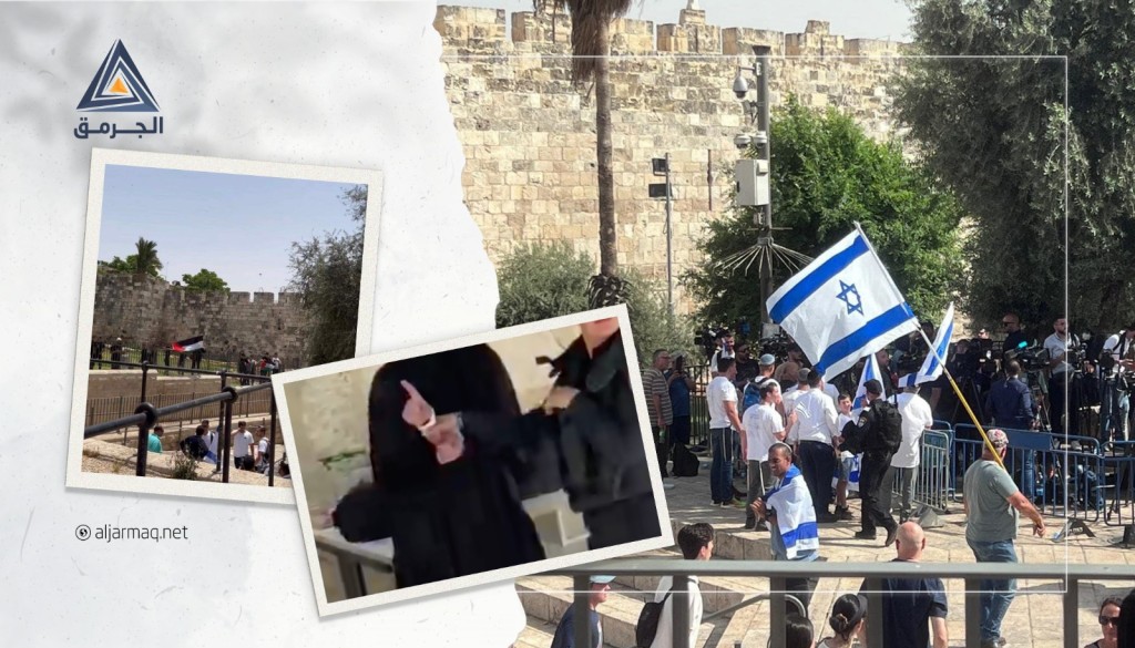بالفيديو.. شرطة الاحتلال تعتقل مرابطة من زلفة أثناء تواجدها في الأقصى