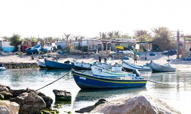 منظمة الصيد البحري تؤكد أن تعويضها على فترة حظر الصيد لا يتلاءم مع خسارة الصيادين