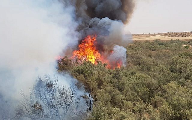 اندلاع حريق وإخلاء مستوطنة في غور الأردن