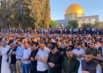 نشطاء من أم الفحم يعلنون عن إطلاق أكثر من 30 حافلة إلى الأقصى