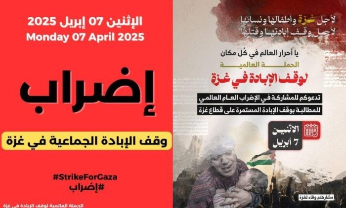 إضراب 7 نيسان..ناشطة للجرمق: على المؤسسات في الـ48 الانخراط في الإضراب كفعل احتجاجي