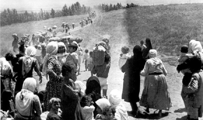 77 عامًا من الصمود.. بين التهجير القسري والطوعي